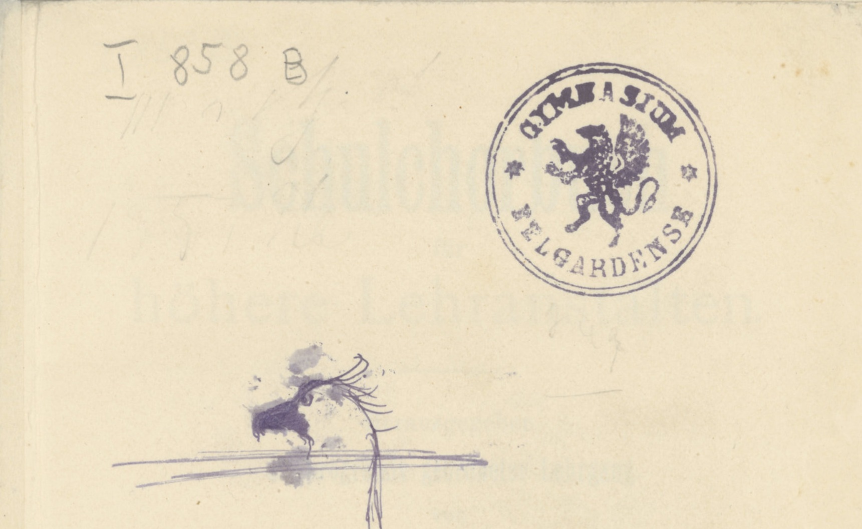 Gimnazjum w Białogardzie, 1. Pieczątka okrągła niebieska: w otoku nazwa instytucji GYMNASIUM BELGARDENSE, w centrum wizerunek pomorskiego gryfa
