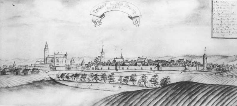 Widok perspektywiczny Brodnicy od zachodu / Georg Friedrich Steiner (1743)